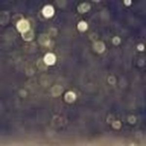 Meet your Posher, Lydia